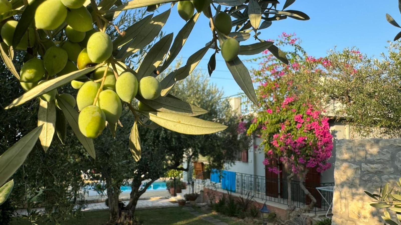 Lily'S Cottage Platanes  Ngoại thất bức ảnh