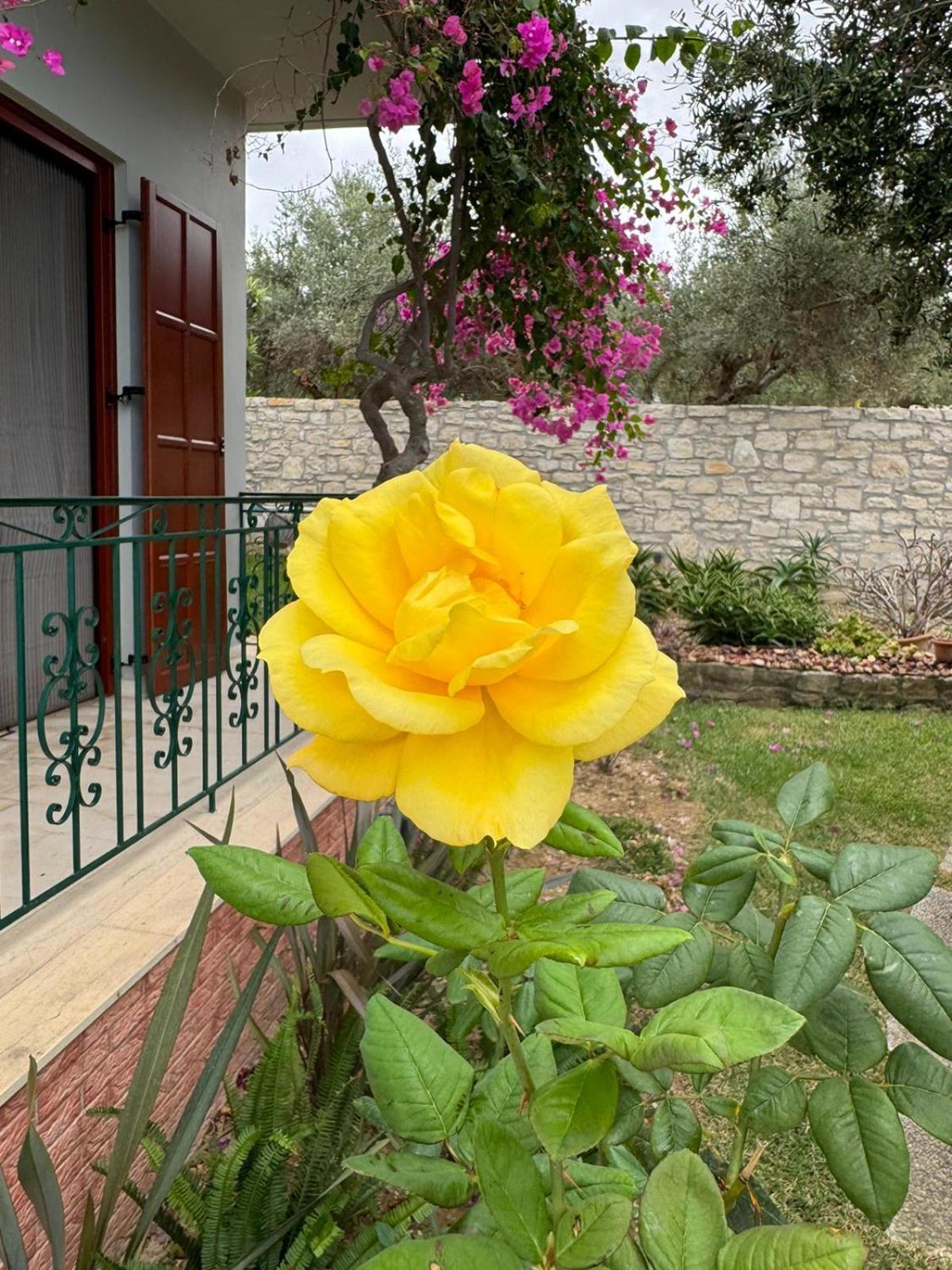 Lily'S Cottage Platanes  Ngoại thất bức ảnh